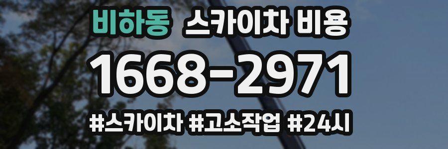 비하동 스카이차 비용