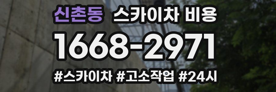 신촌동 스카이차 비용