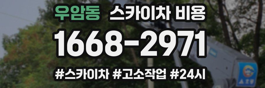 우암동 스카이차 비용