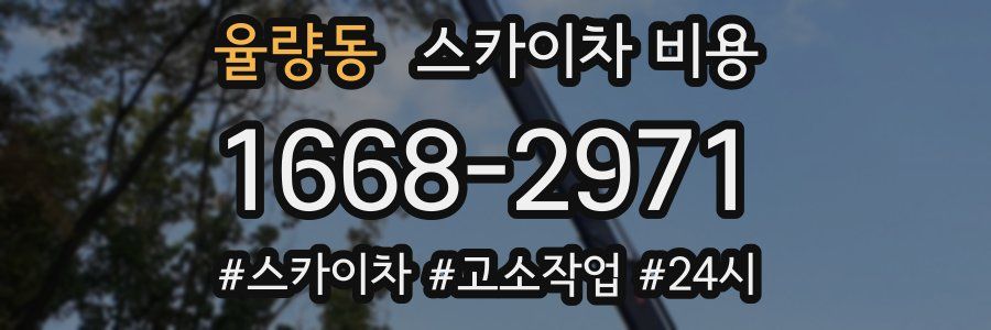 율량동 스카이차 비용