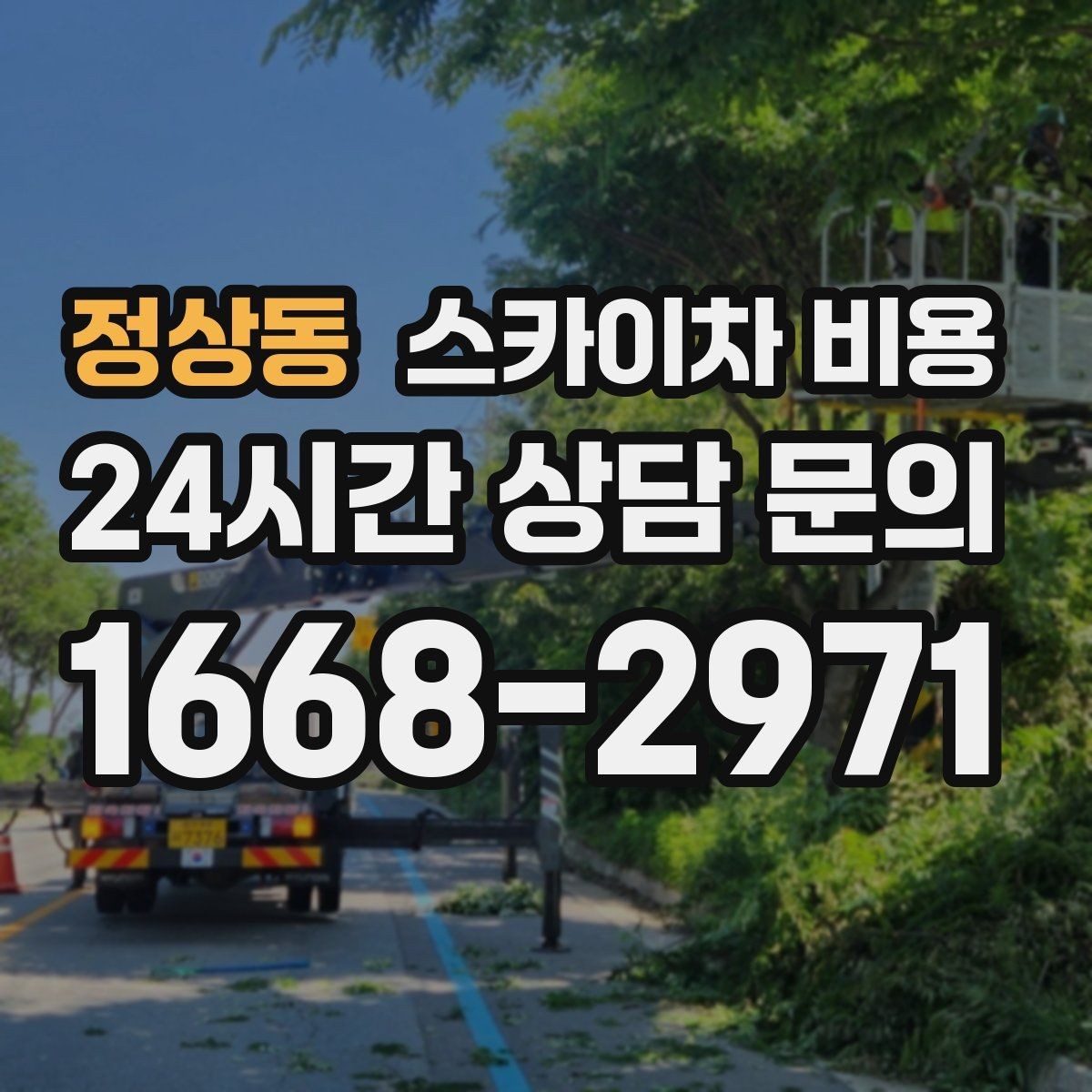 정상동 스카이차 비용 높이보다 접근성이 더 중요한 현장 정리