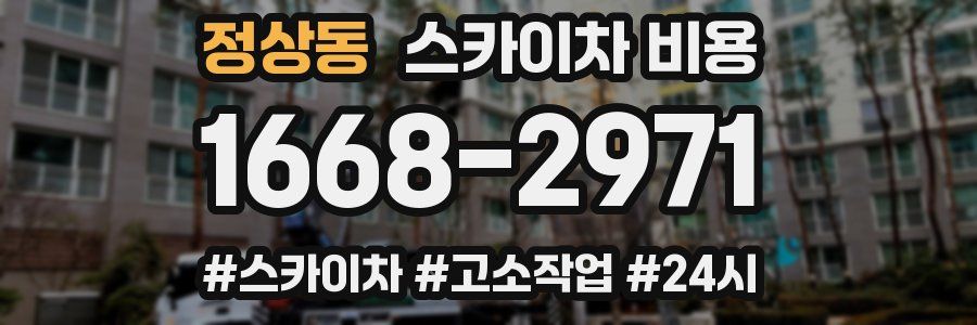 정상동 스카이차 비용