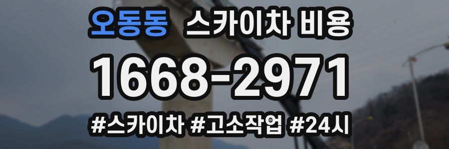 오동동 스카이차 비용