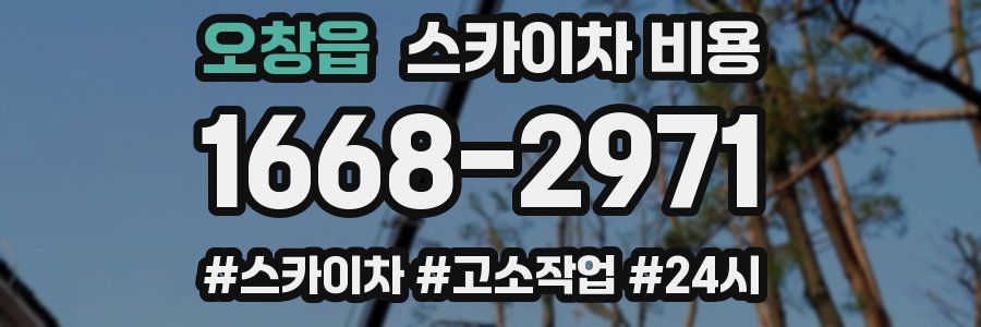 오창읍 스카이차 비용