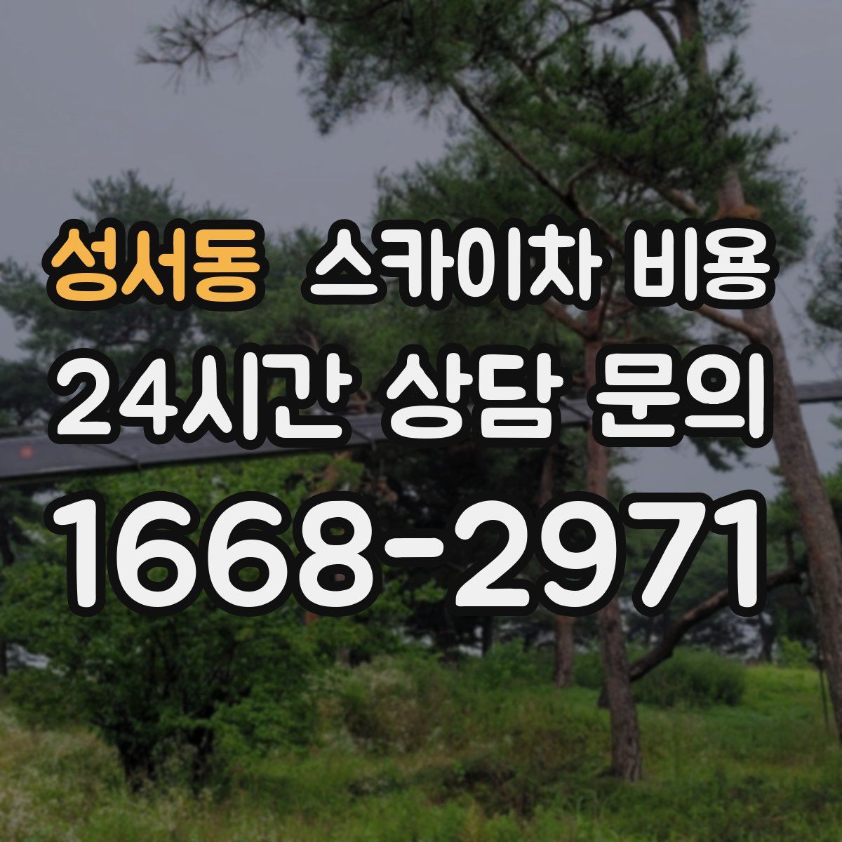 성서동 스카이차 비용