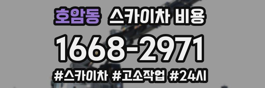 호암동 스카이차 비용