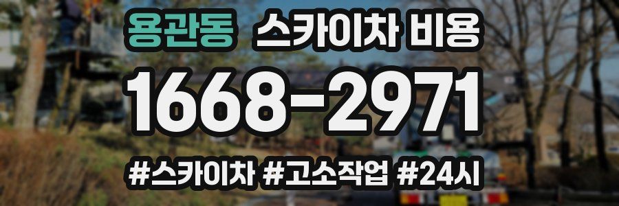 용관동 스카이차 비용