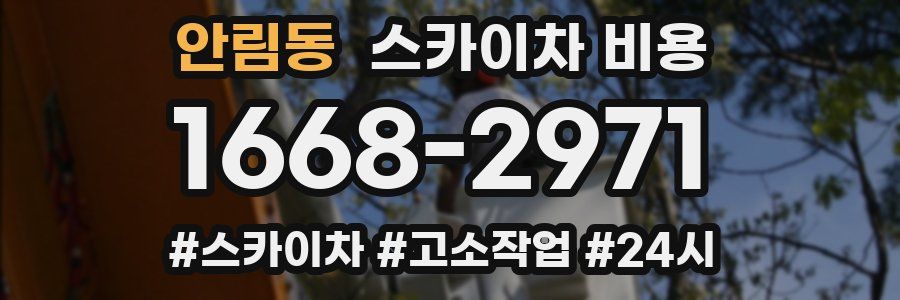 안림동 스카이차 비용