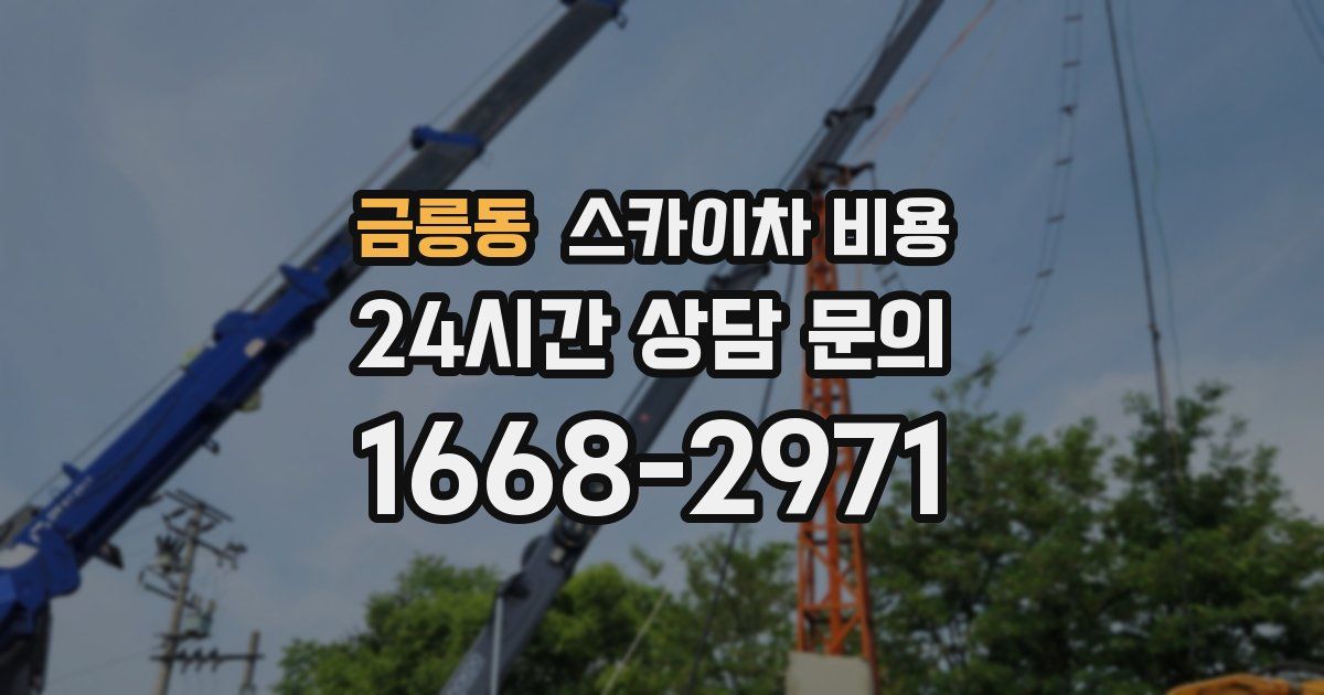 금릉동 스카이차 비용