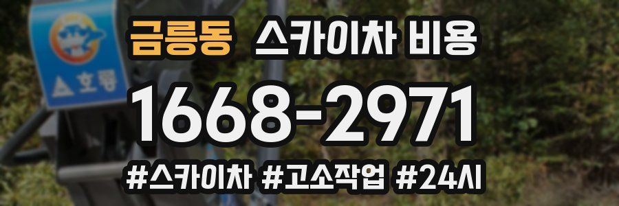 금릉동 스카이차 비용