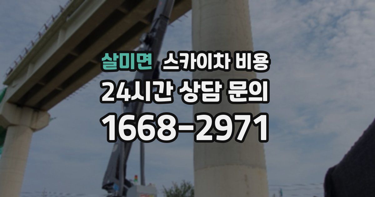 살미면 스카이차 비용