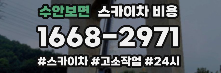 수안보면 스카이차 비용