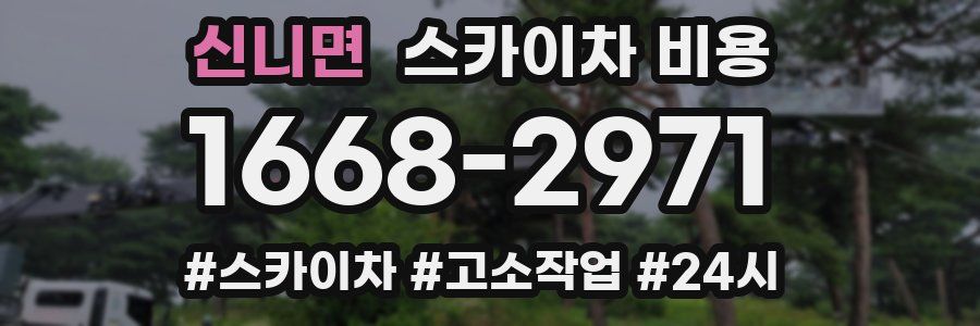 신니면 스카이차 비용