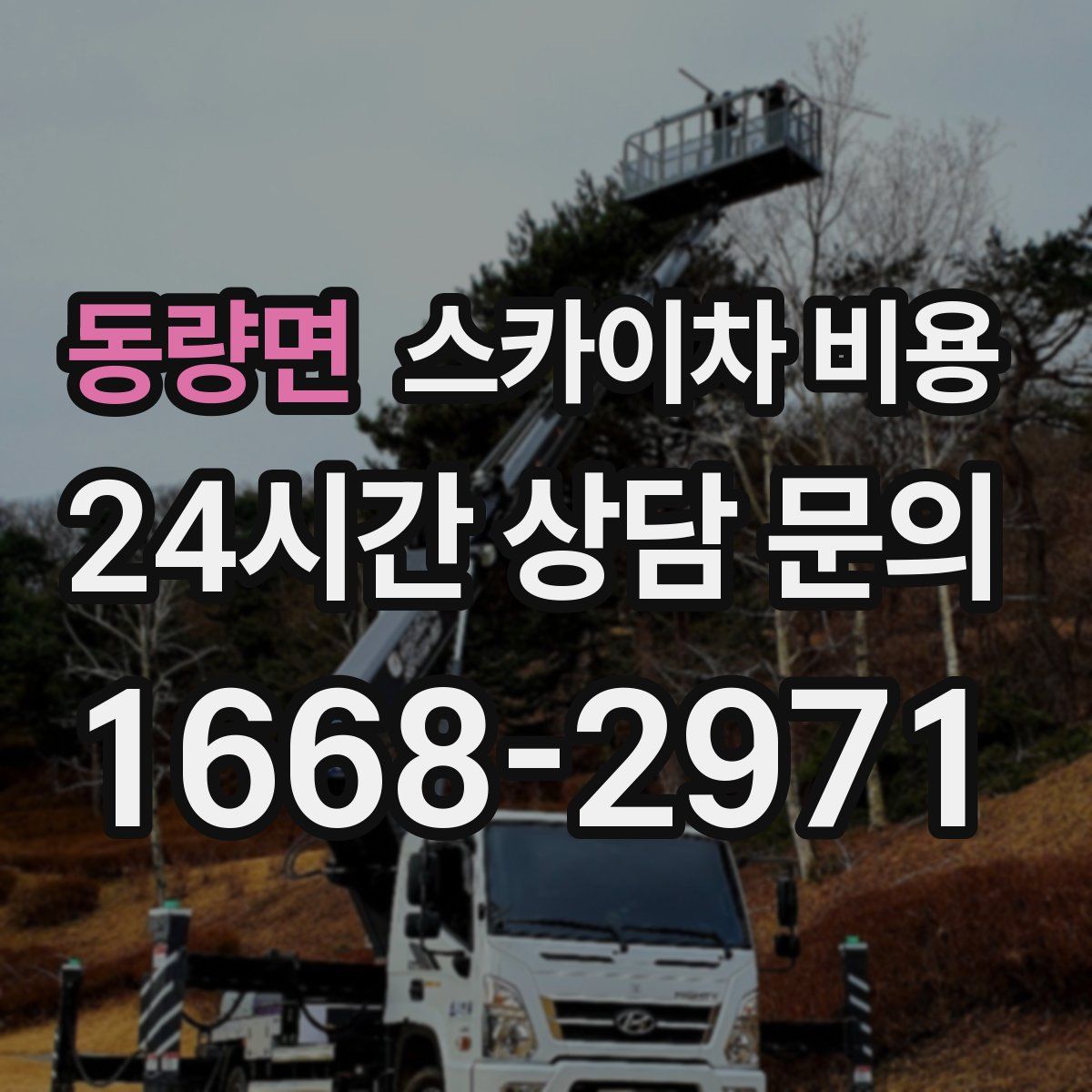 동량면 스카이차 비용