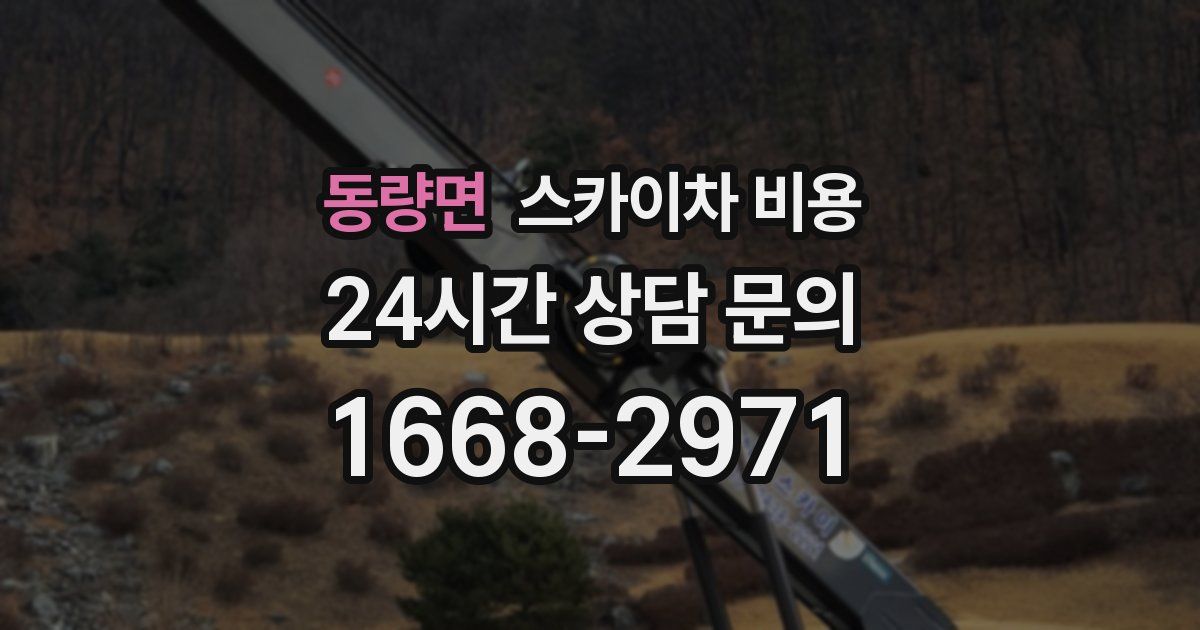 동량면 스카이차 비용