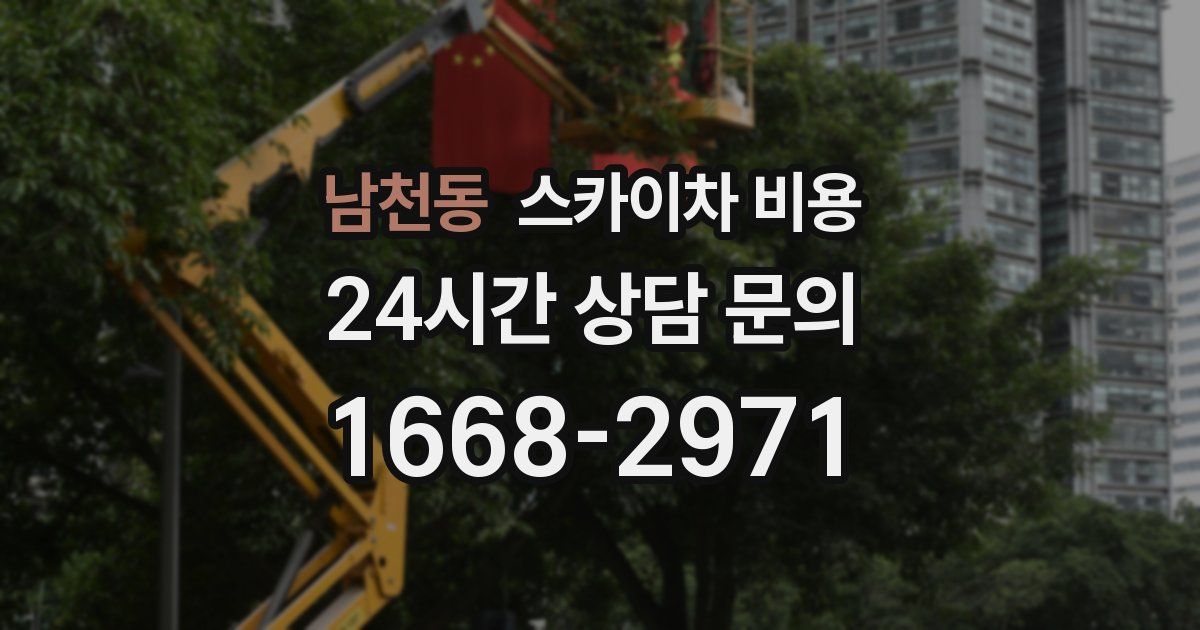 남천동 스카이차 비용