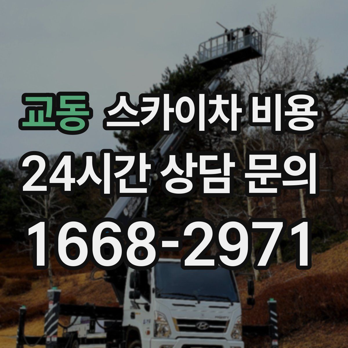 교동 스카이차 비용