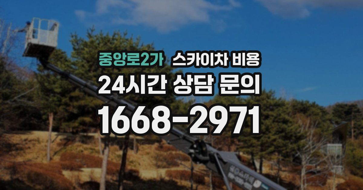 중앙로2가 스카이차 비용