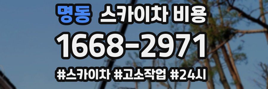 명동 스카이차 비용