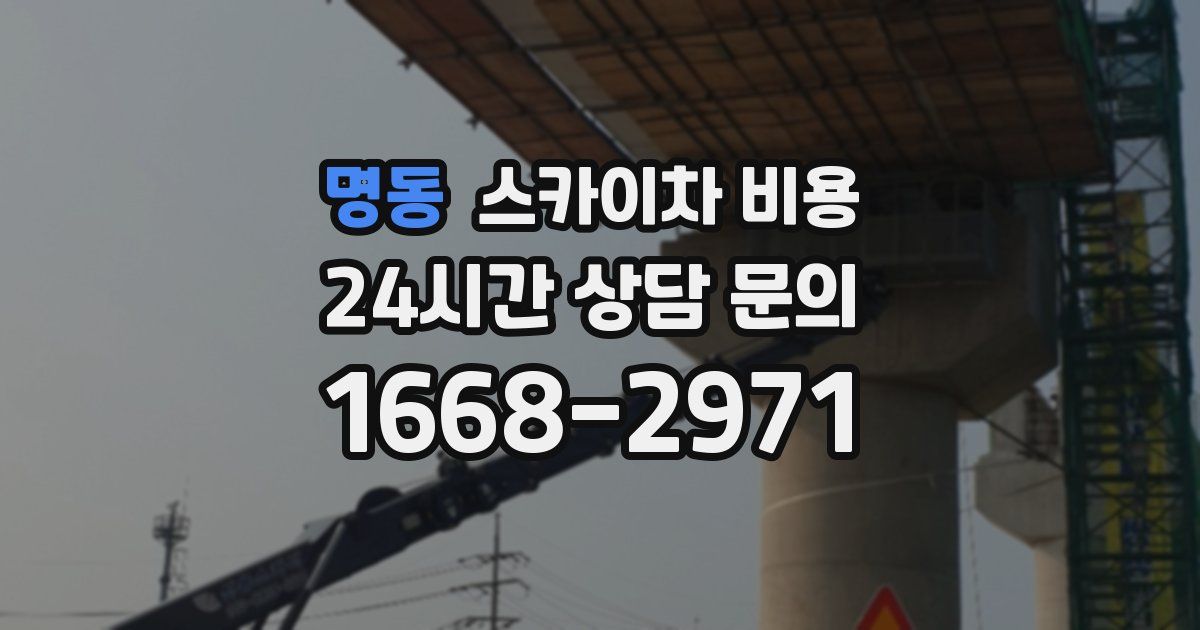 명동 스카이차 비용