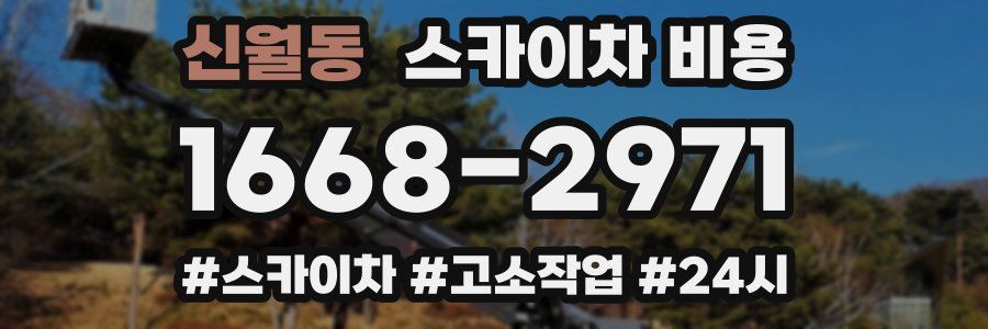 신월동 스카이차 비용
