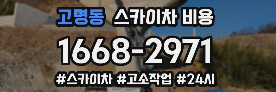 고명동 스카이차 비용