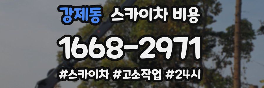 강제동 스카이차 비용