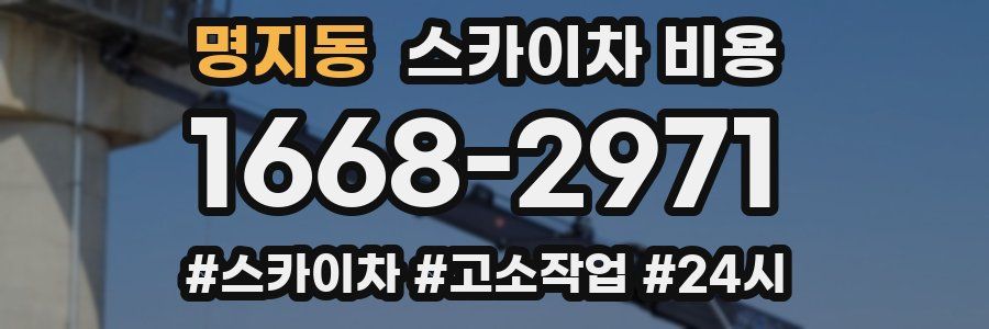 명지동 스카이차 비용