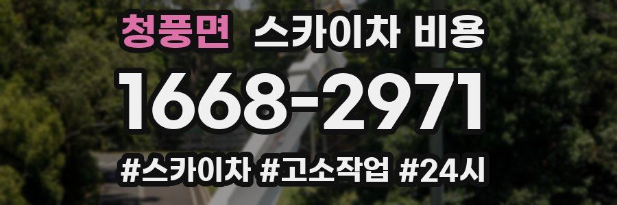 청풍면 스카이차 비용