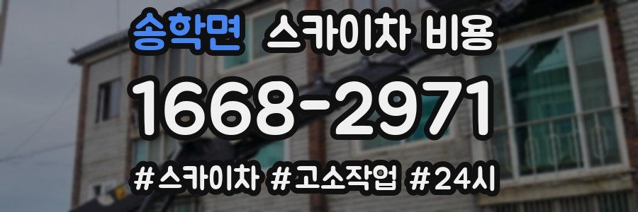 송학면 스카이차 비용