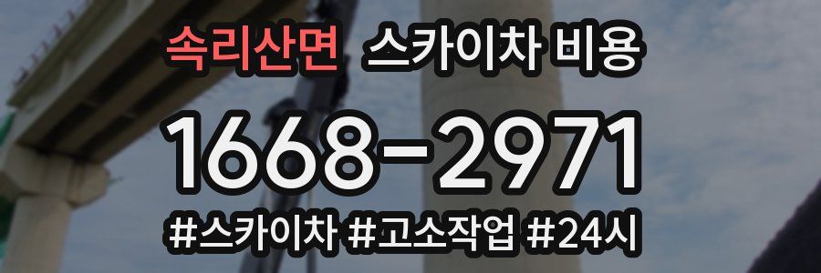 속리산면 스카이차 비용