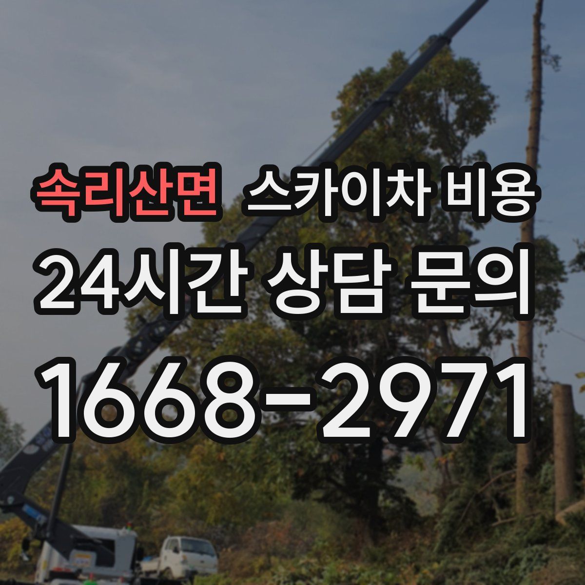 속리산면 스카이차 비용