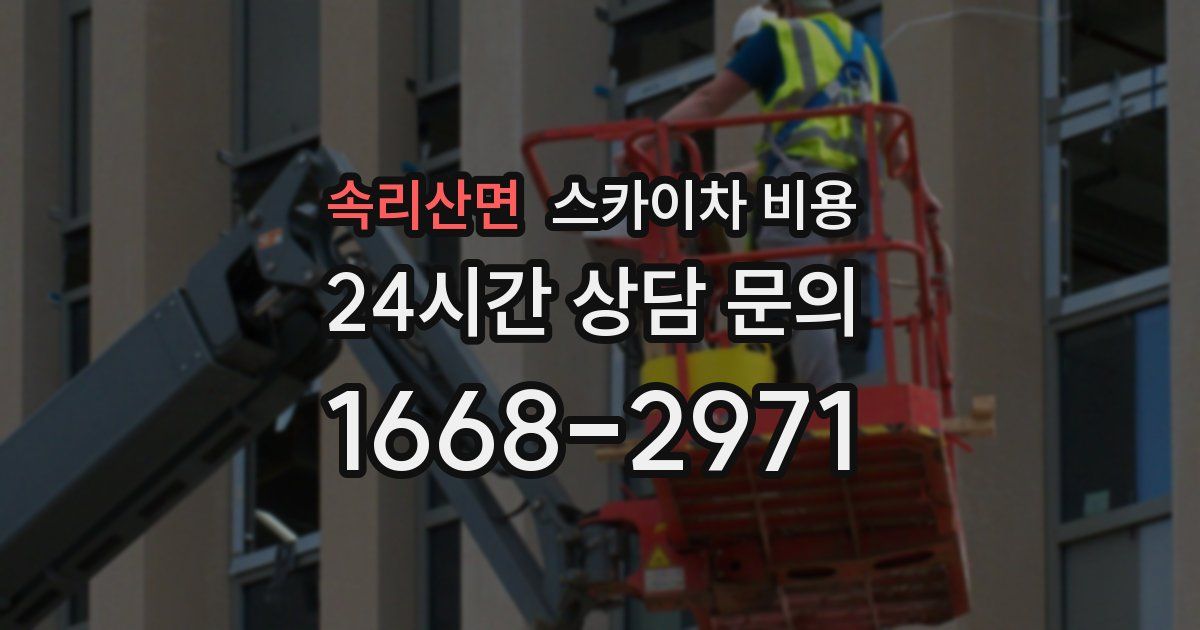 속리산면 스카이차 비용