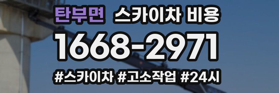 탄부면 스카이차 비용