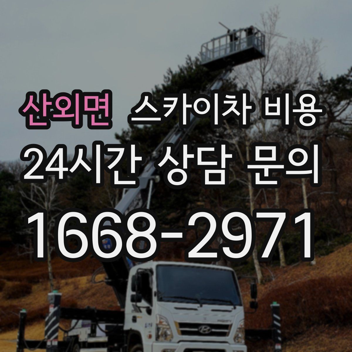 산외면 스카이차 비용