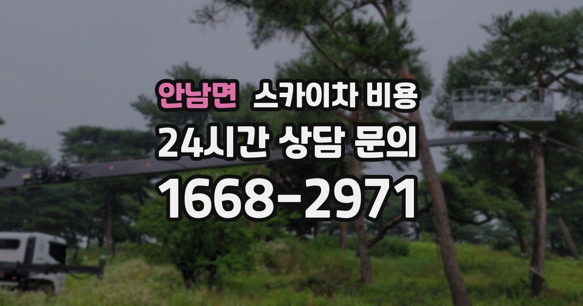 안남면 스카이차 비용