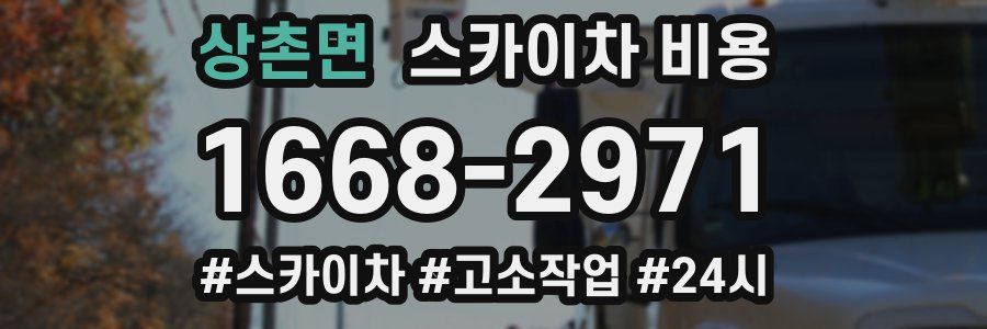 상촌면 스카이차 비용