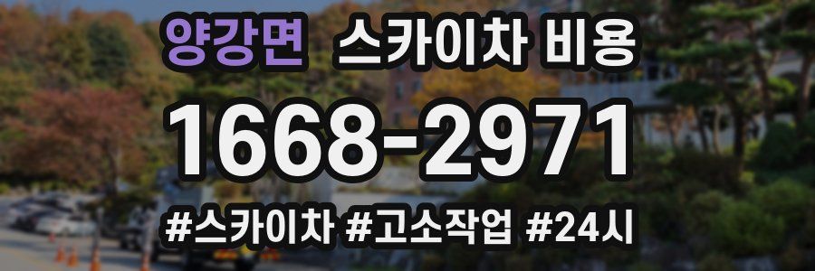 양강면 스카이차 비용