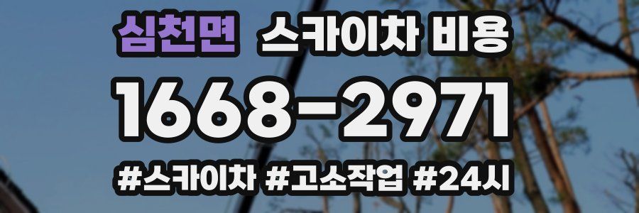 심천면 스카이차 비용