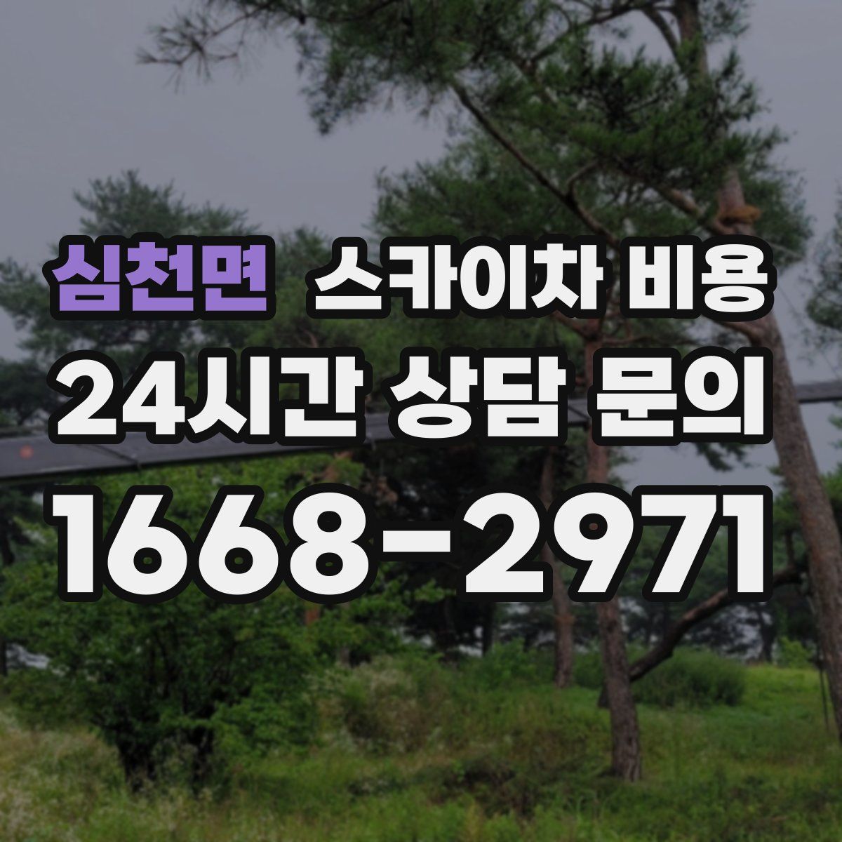 심천면 스카이차 비용