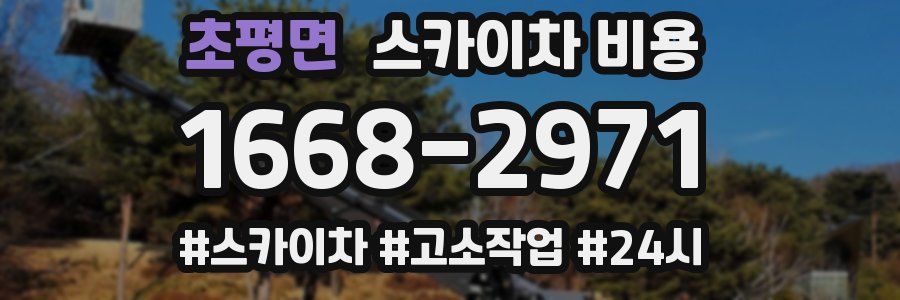 초평면 스카이차 비용