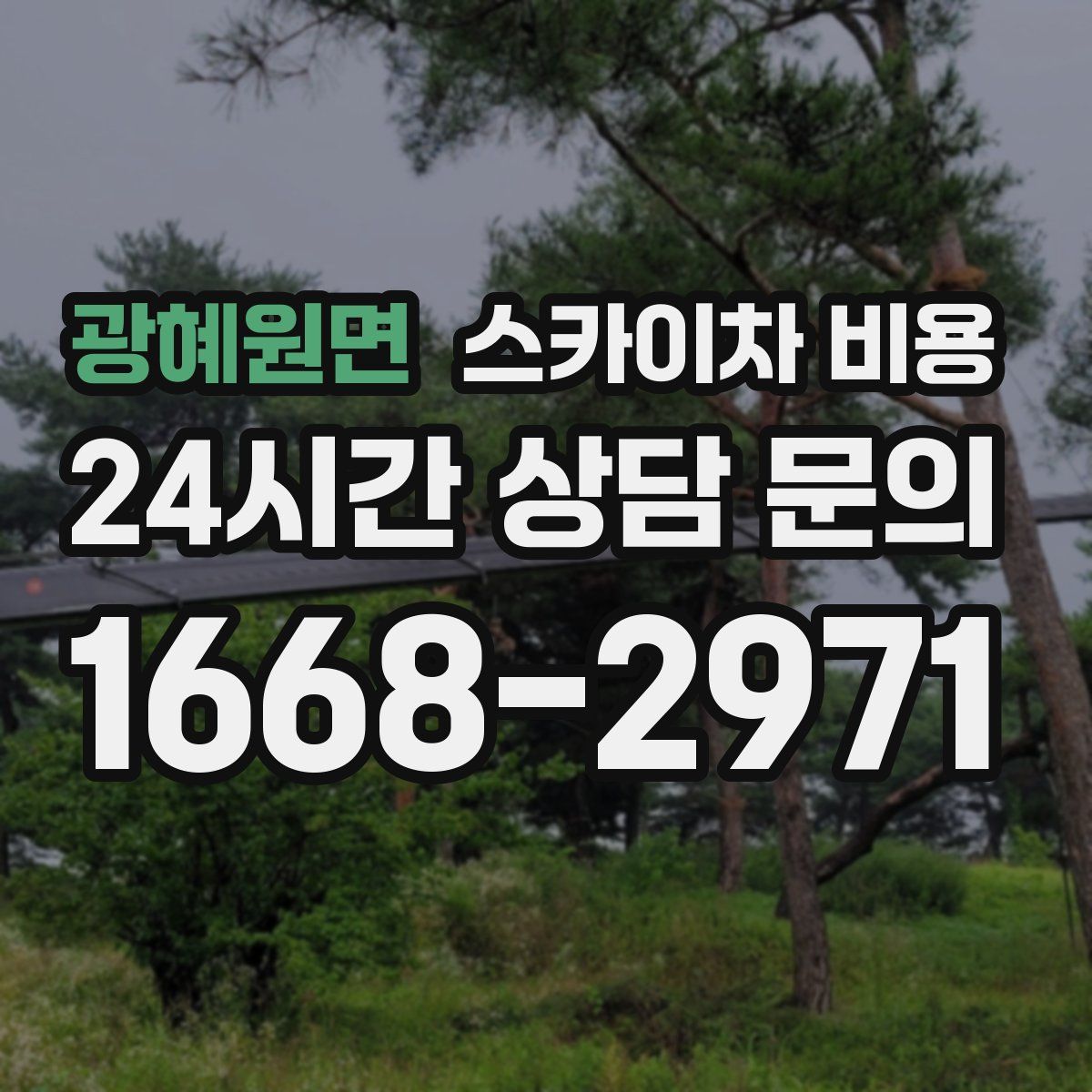 광혜원면 스카이차 비용