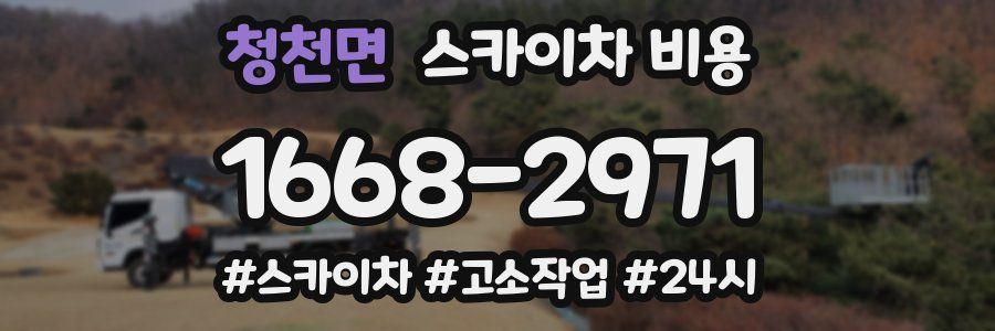 청천면 스카이차 비용