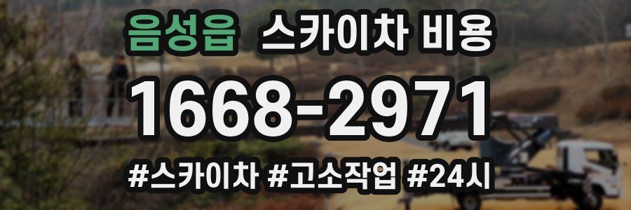 음성읍 스카이차 비용