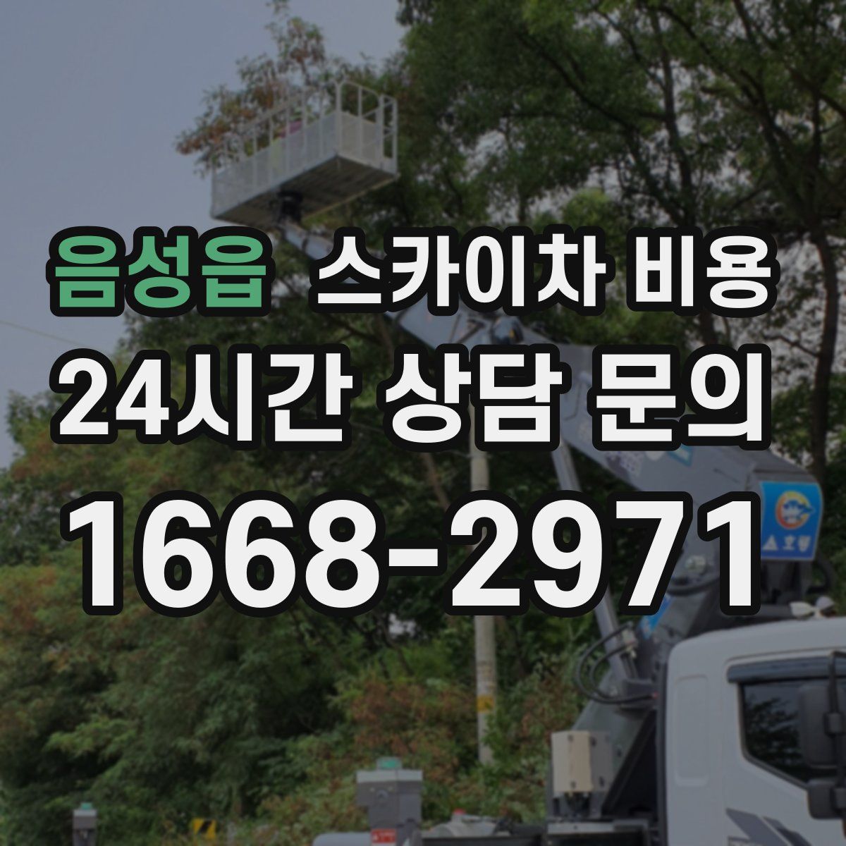 음성읍 스카이차 비용