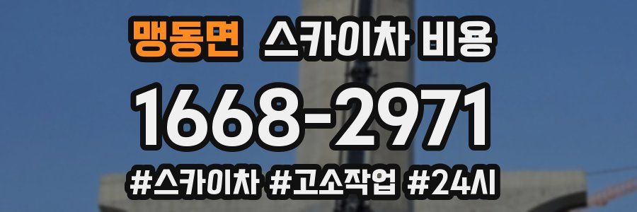 맹동면 스카이차 비용