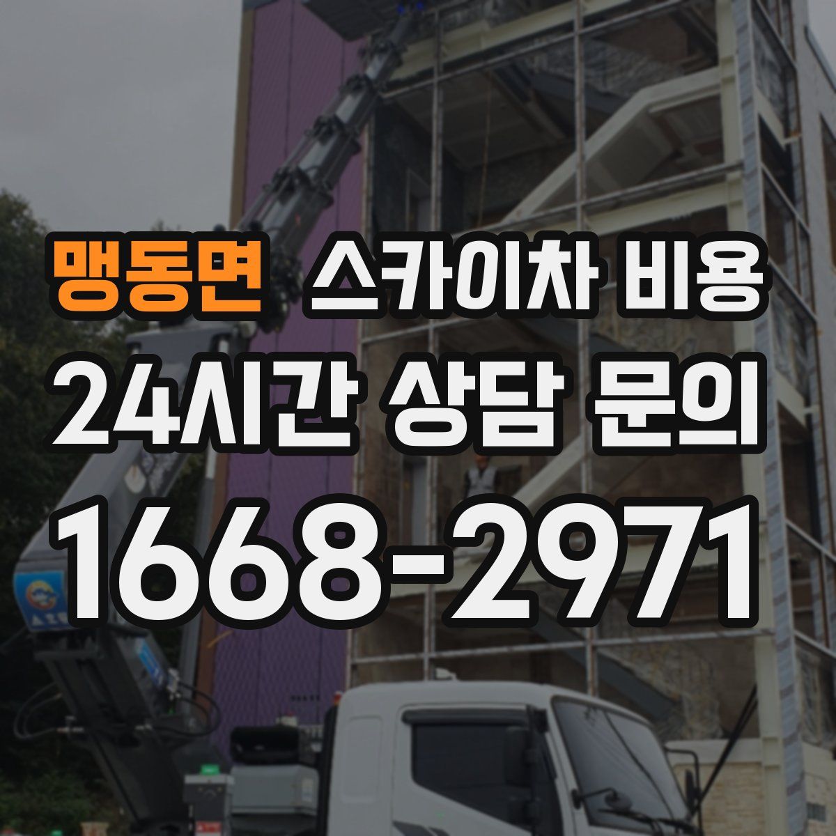 맹동면 스카이차 비용