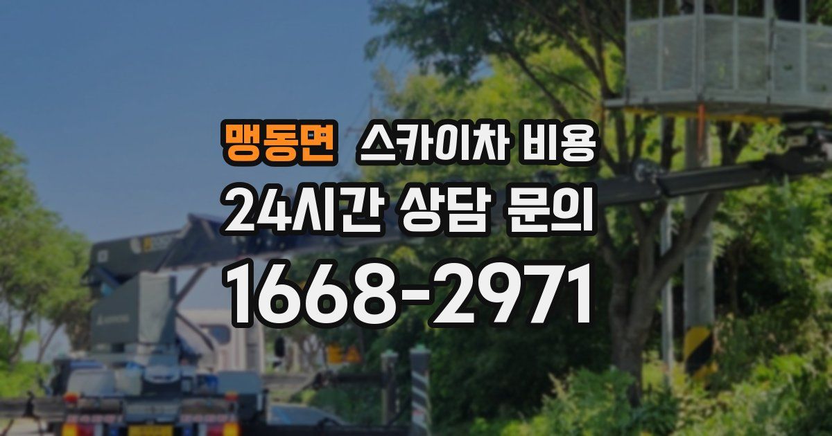 맹동면 스카이차 비용