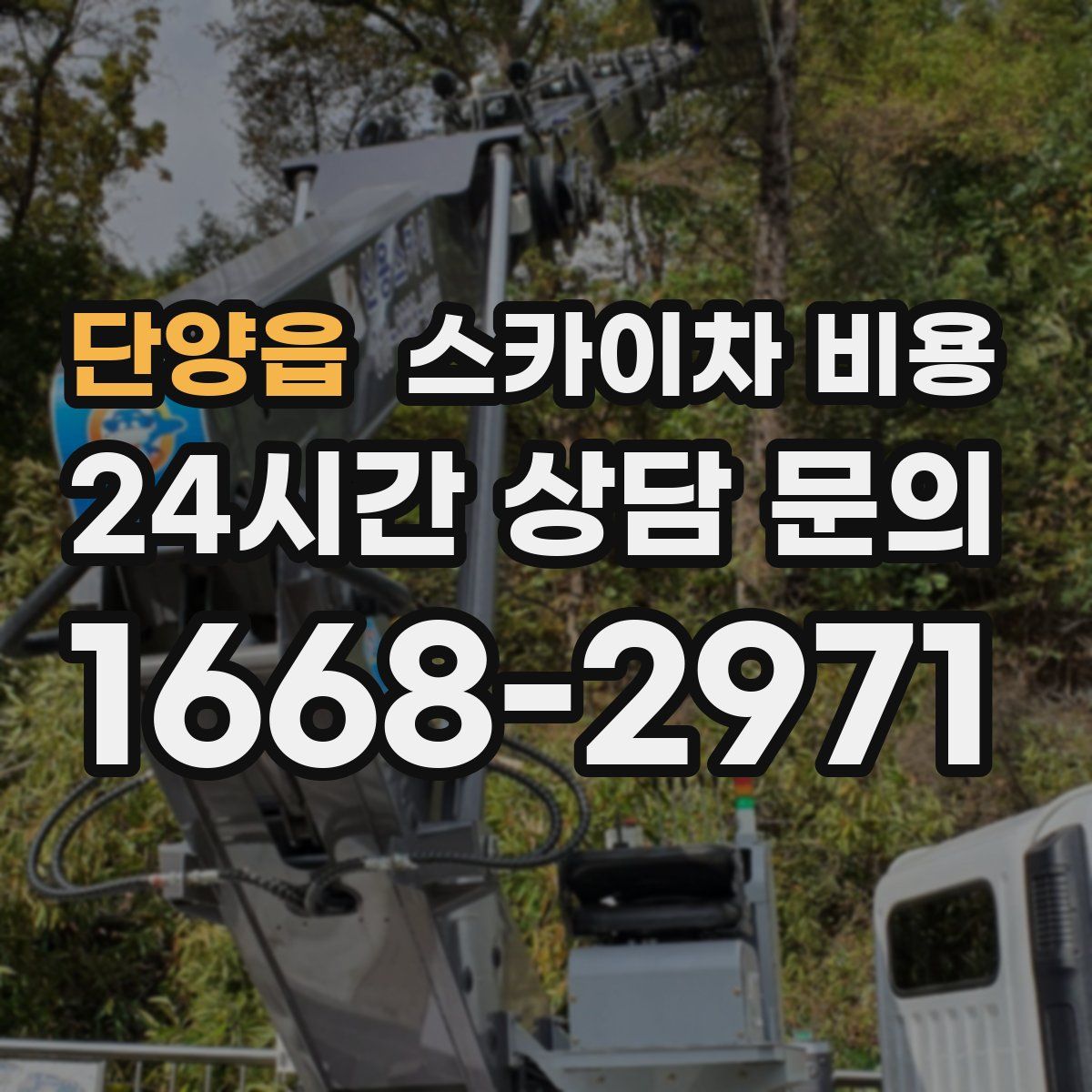 단양읍 스카이차 비용