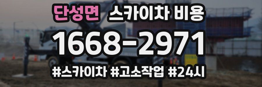 단성면 스카이차 비용